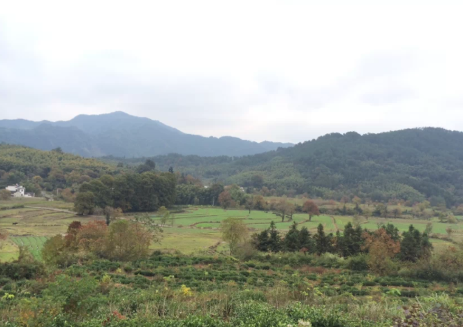 繼續(xù)教育是什么文憑和大專哪個(gè)好?學(xué)歷有用嗎和自考的區(qū)別是什么