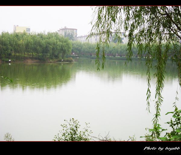 達州哪個高中最好揭秘中學排行前五名?達州中學和達一中哪個好?