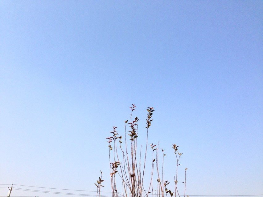 初中生讀航空學校有用嗎需要多少分?初中航空學校招生要求有哪些?