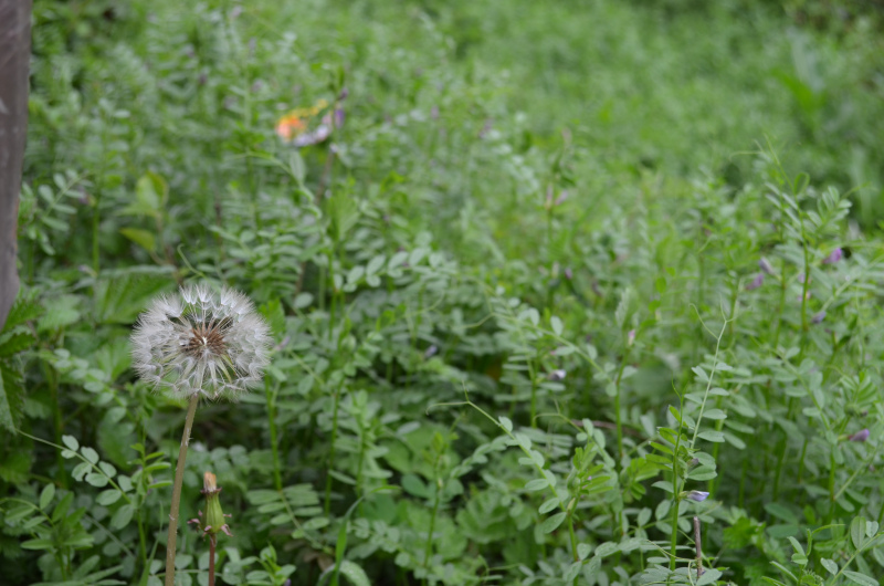 初中生可以上鐵路學校嗎需要多少分?初中生鐵路學校有哪些?