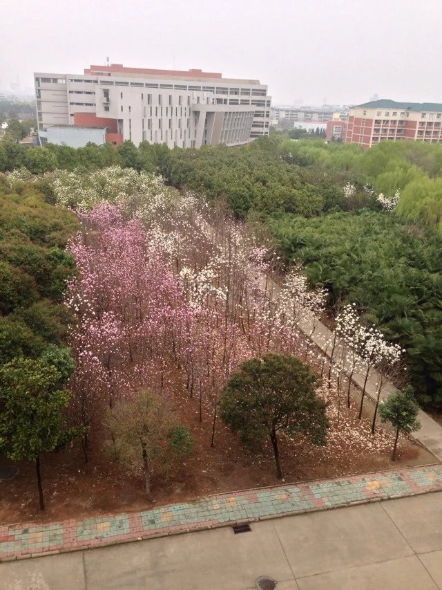 男生學什么專業(yè)好學會計好找工作嗎?男生學會計有哪些優(yōu)勢?