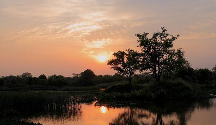 FTCʲôãھWܲ鵽᣿PcFTͷǈFTĲe