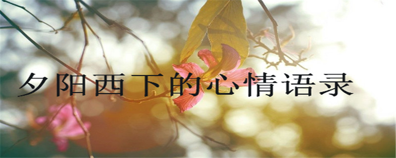 盤點夕陽西下的心情語錄,適合發(fā)日落的朋友圈