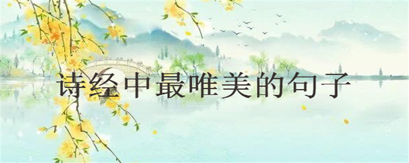 30句詩經中最唯美的句子大盤點你中意哪句?句句美到窒息!