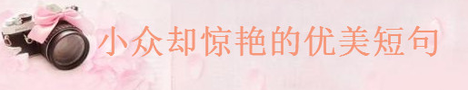 關(guān)于優(yōu)美的短句摘抄,很小眾卻很驚艷的佳句大全