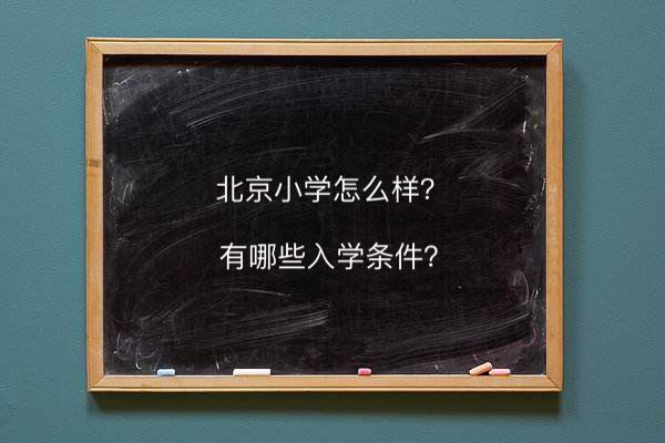 北京小學(xué)怎么樣入學(xué)條件有哪些?在北京市排名第幾學(xué)費(fèi)一年多少錢(qián)