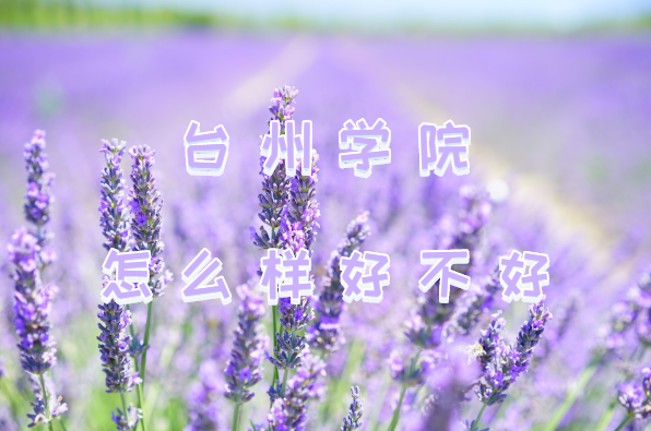 1647503562129366.png 臺州學院怎么樣好不好?(王牌專業、院校口碑、全國排名)