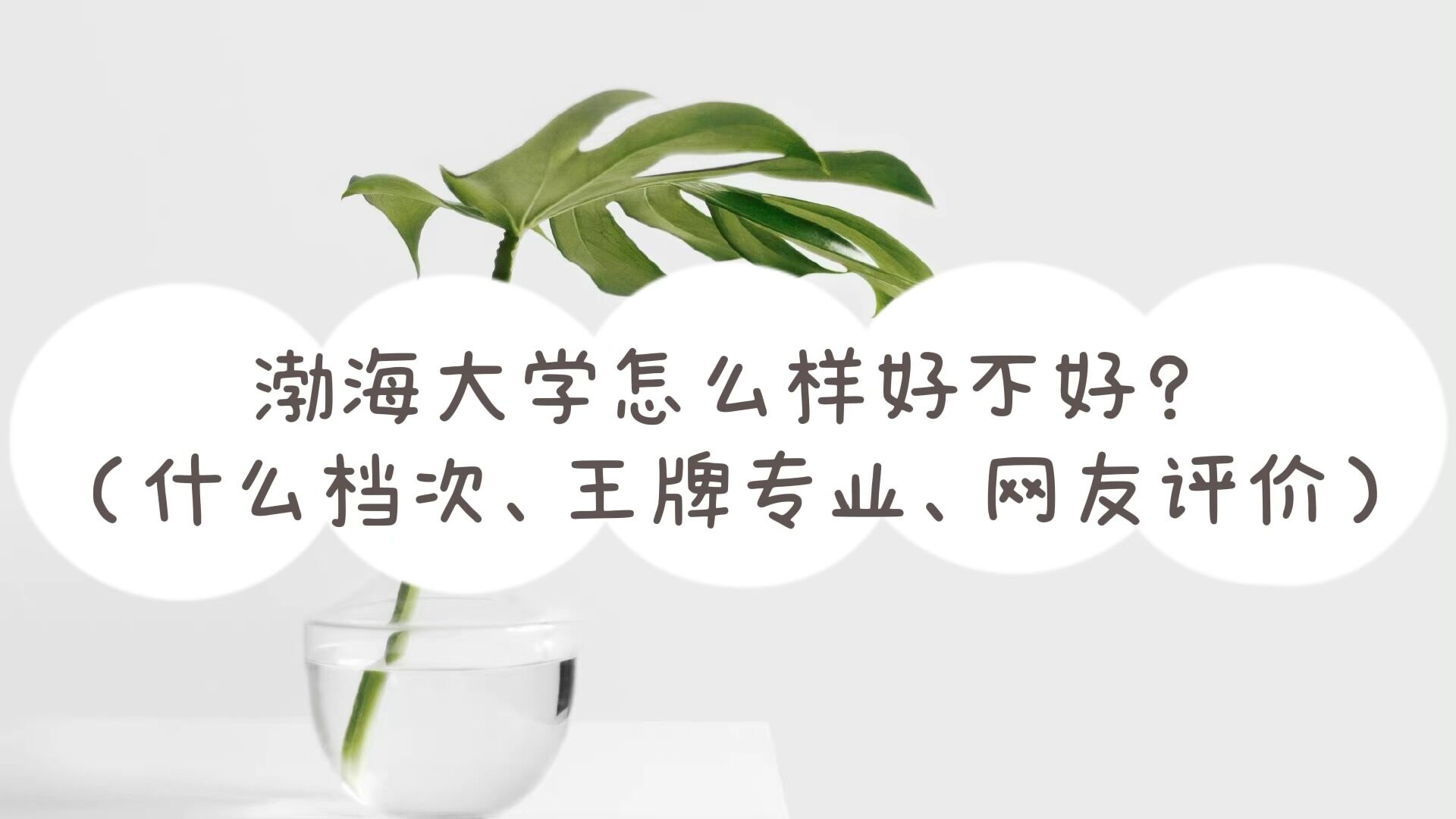 1652085975257028.jpg 渤海大學(xué)怎么樣好不好(什么檔次、王牌專業(yè)、網(wǎng)友評價)